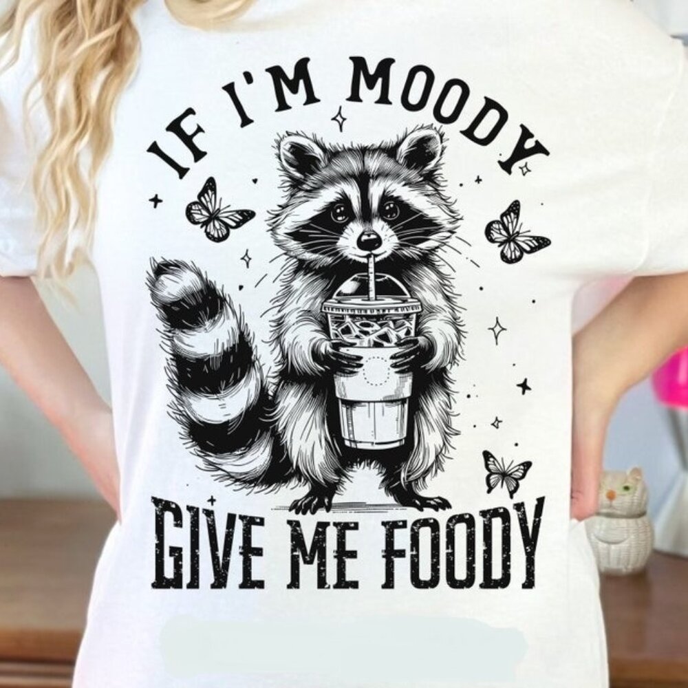 If I'm Moody Give Me Foody Shirt, Funny Raccoon Design T-shirt